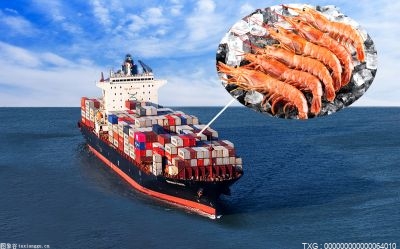 持续优化口岸营商环境 前11月安徽省进出口总值超6000亿元