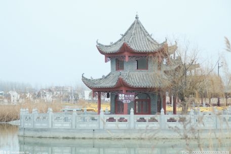 “五水共治”！杭州钱塘区前进街道建设美丽池塘为村民送“大礼”